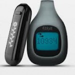 1-fitbit