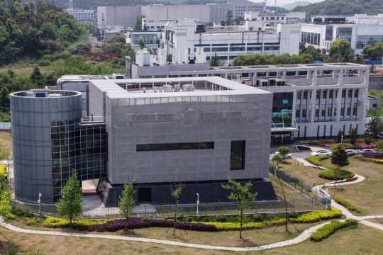 Wuhan Laboratorio