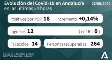 covid 19 andalucia