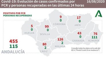 covid andalucia 16082020
