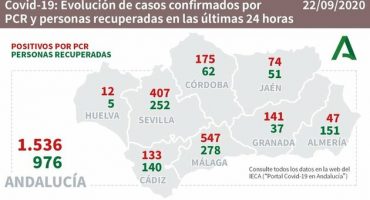 andalucia covid 19