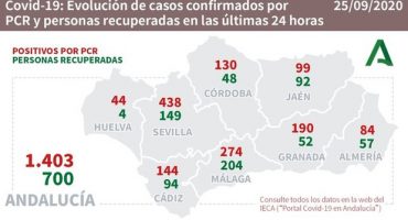 andalucia covid