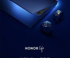 honor hunter