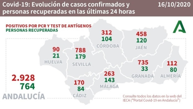 263 contagios malaga
