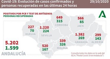 covid andalucia málaga