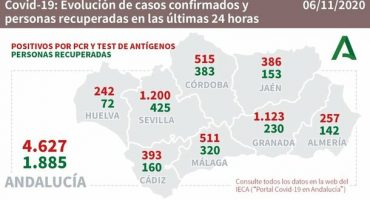 coronavirus 511 nuevos positivos