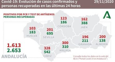 covid-19 malaga