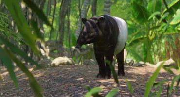Planet Zoo