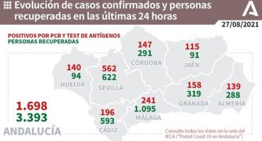 241 nuevos