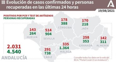 335 nuevos positivos