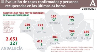 481 positivos