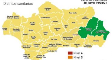 covid malaga
