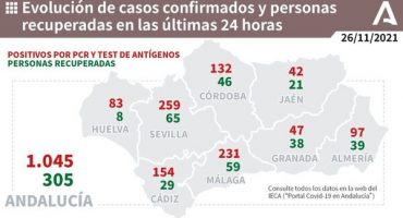 231 positivos