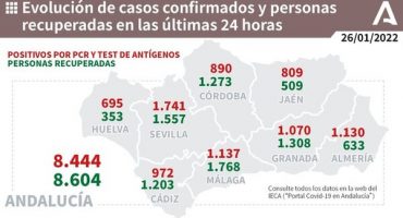 1137 positivos