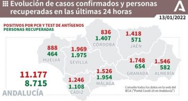 malaga covid