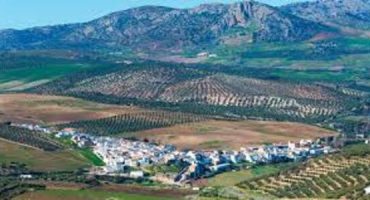 serrato málaga