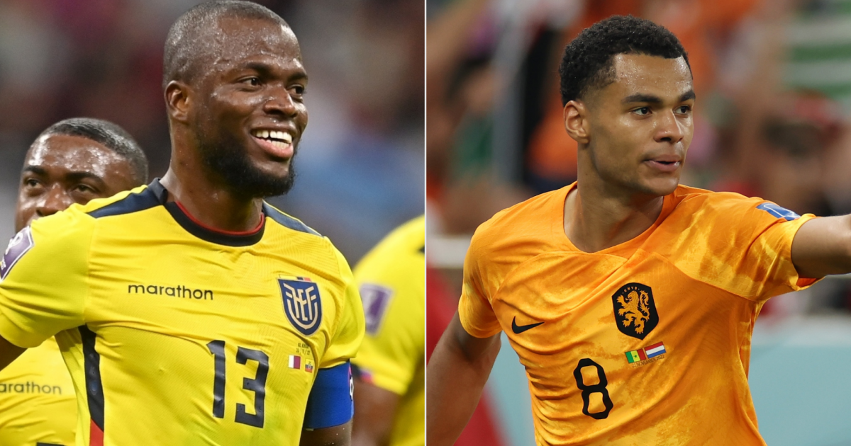 Holanda vs Ecuador