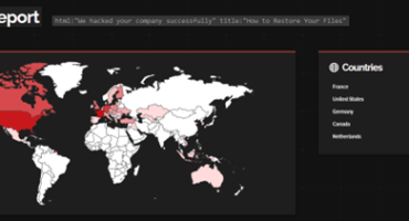 shodan report