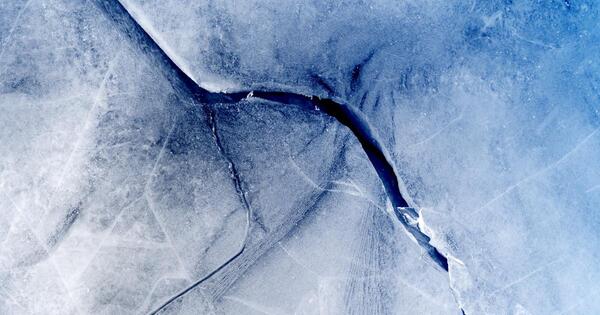 IcedID