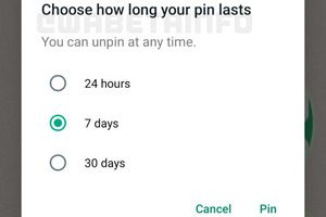 WhatsApp Pin message