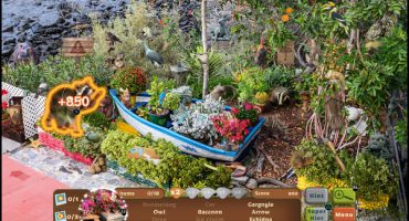Juego Nature