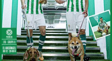 cordoba vs castellon