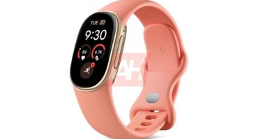 Fitbit 1