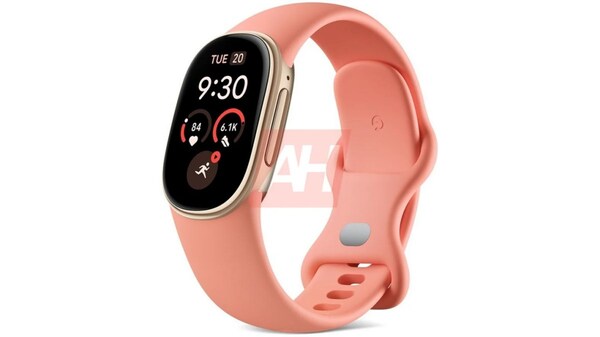 Fitbit 1